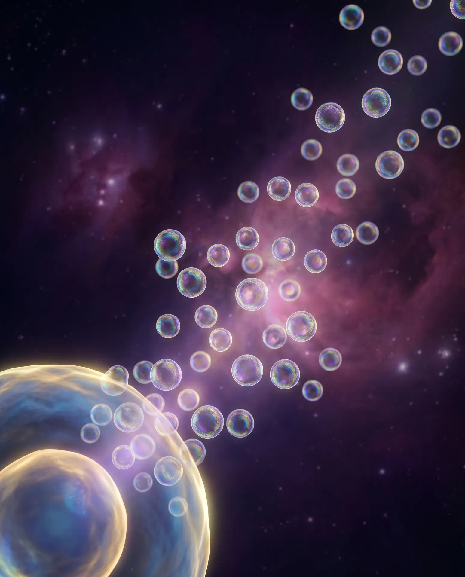 Extracellular Vesicles