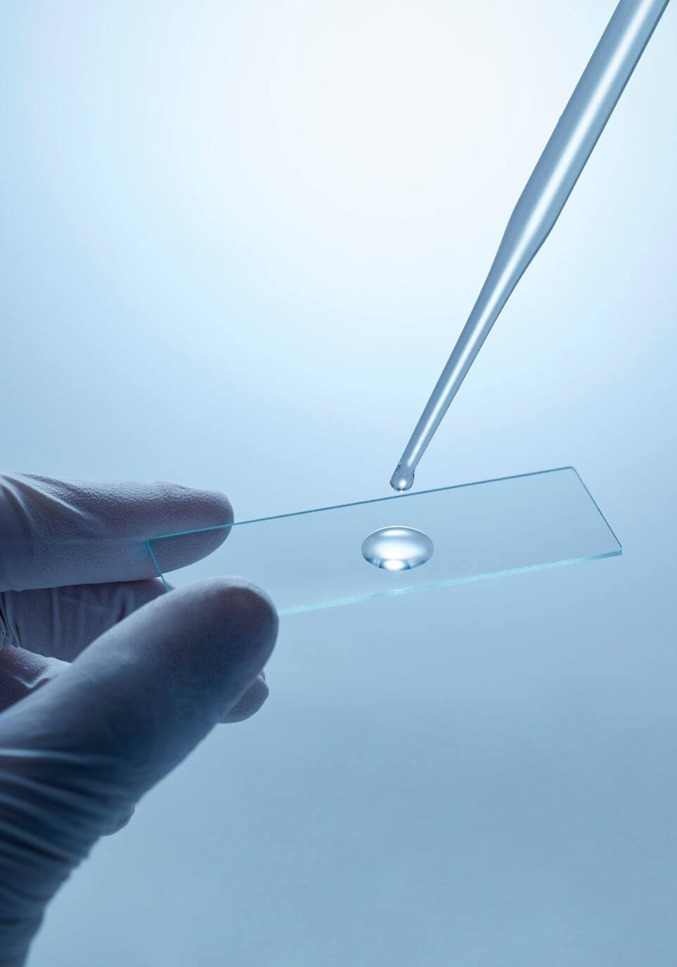 Scientific experiment with laboratory equipment